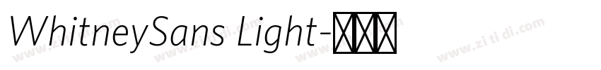 WhitneySans Light字体转换
